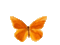 animated butterfly - GIF animate gratis GIF animata