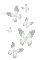 Animated.Butterflies.White - By KittyKatLuv65 - GIF เคลื่อนไหวฟรี GIF แบบเคลื่อนไหว