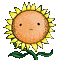 Smile Sunflower - GIF animado grátis Gif Animado
