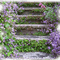 stone stairway garden jardin d'escalier en pierre