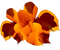 Kaz_Creations Autumn Deco - bezmaksas png animēts GIF