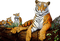 loly33 tigre - bezmaksas png animēts GIF