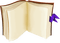 Kaz_Creations Deco Book Knights Tale - gratis png animerad GIF