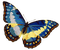Kaz_Creations Butterflies Butterfly - безплатен png анимиран GIF