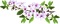 spring - 免费PNG 动画 GIF