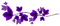 Flowers.Purple - zadarmo png animovaný GIF