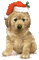 Kaz_Creations Animals Christmas Dog Pup - GIF animado grátis Gif Animado