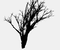 cây lá - Besplatni animirani GIF animirani GIF