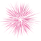 Kaz_Creations Colours Firework Fireworks - PNG gratuit GIF animé