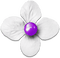soave deco flowers scrap white purple - png grátis Gif Animado