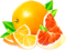 soave deco summer fruit orange