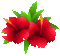 Flower - Free animated GIF Animated GIF