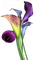 flowers - gratis png animeret GIF