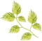 Kaz_Creations Deco Leaves Leafs Colours - Free PNG Animated GIF