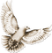 soave deco bird dove sepia - Free PNG Animated GIF