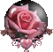 Flowers pink rose bp - Nemokamas animacinis gif animuotas GIF