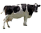 Kaz_Creations Cow - δωρεάν png κινούμενο GIF