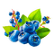 blueberries Bb2 - darmowe png animowany gif