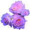 Kaz_Creations Purple Flowers - bezmaksas png animēts GIF