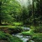 nature background - PNG gratuit GIF animé