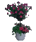 Bloemen en Planten - 免费动画 GIF 动画 GIF