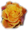 patymirabelle fleurs rose - PNG gratuit GIF animé