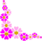 flores*kn* - gratis png animerad GIF