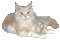 cat - Animovaný GIF zadarmo animovaný GIF
