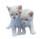 kissa, cat - безплатен png анимиран GIF