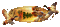 frise canard - Gratis geanimeerde GIF geanimeerde GIF