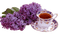 Lilac Tea - PNG gratuit GIF animé