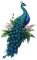 nbl-peacock - Free animated GIF