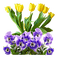 Blumen - PNG gratuit GIF animé