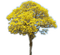 Rena yellow gelb tree frühling - png gratis GIF animado
