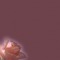 minou-background-pink - zadarmo png animovaný GIF
