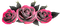pink roses - nemokama png animuotas GIF