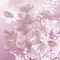 Kaz_Creations Backgrounds Background Flowers - nemokama png animuotas GIF