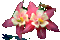 Flores - Gratis geanimeerde GIF geanimeerde GIF