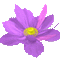 çiçek - Nemokamas animacinis gif animuotas GIF
