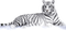 White Tiger - ilmainen png animoitu GIF