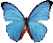 butterfly papillon schmetterling - Бесплатный анимированный гифка анимированный гифка