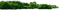 Wald - gratis png geanimeerde GIF