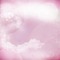 minou-pink-background-bg