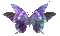 papillon - Gratis animerad GIF animerad GIF
