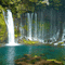 Background forest - GIF animado gratis GIF animado