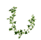 Ivy - ücretsiz png animasyonlu GIF