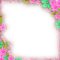 Pink/Green Flowers Frame - By KittyKatLuv65