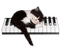 Chaton piano - PNG gratuit GIF animé