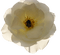 Rose - безплатен png анимиран GIF