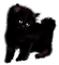 Chat noir:) - PNG gratuit GIF animé